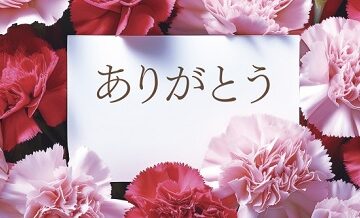 感謝の言葉が夫婦関係に与える心理的効果