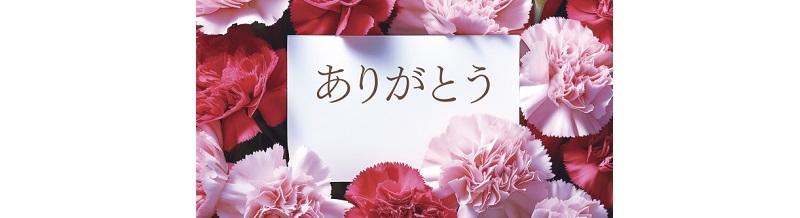 感謝の言葉が夫婦関係に与える心理的効果